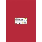 FOLIA Dekorkarton, 2 oldalas, 50x70 cm, 300 g, 10 lap, FOLIA, tűzpiros