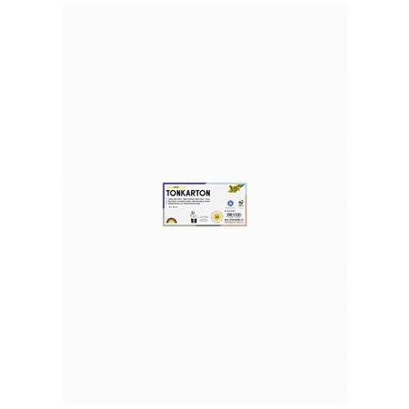 FOLIA Dekorkarton, 2 oldalas, 50x70cm, 220 g, 10 lap, FOLIA, fehér