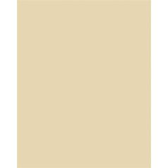   FOLIA Dekorkarton, 2 oldalas, 50x70cm, 220 g, 10 lap, FOLIA, bézs