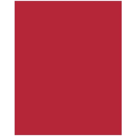 FOLIA Dekorkarton, 2 oldalas, 50x70cm, 220 g, 10 lap, FOLIA, tűzpiros