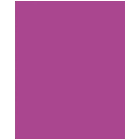 FOLIA Dekorkarton, 2 oldalas, 50x70cm, 220 g, 10 lap, FOLIA, sötét rózsaszín