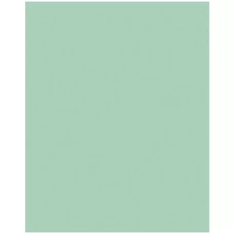 FOLIA Dekorkarton, 2 oldalas, 50x70cm, 220 g, 10 lap, FOLIA, menta