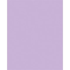   FOLIA Dekorkarton, 2 oldalas, 50x70cm, 220 g, 10 lap, FOLIA, orgonalila