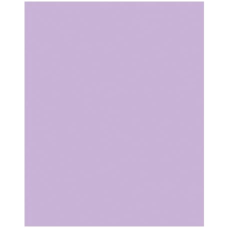 FOLIA Dekorkarton, 2 oldalas, 50x70cm, 220 g, 10 lap, FOLIA, orgonalila