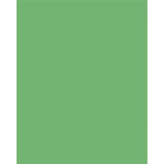  FOLIA Dekorkarton, 2 oldalas, 50x70cm, 220 g, 10 lap, FOLIA, smaragdzöld