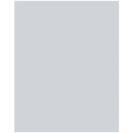 FOLIA Dekorkarton, 2 oldalas, 50x70cm, 220 g, 10 lap, FOLIA, halványszürke
