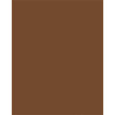   FOLIA Dekorkarton, 2 oldalas, 50x70cm, 220 g, 10 lap, FOLIA, csokoládébarna
