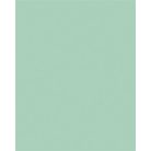 FOLIA Dekorkarton, 2 oldalas, 50x70 cm, 300 g, 10 lap, FOLIA, menta