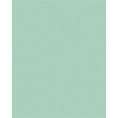   FOLIA Dekorkarton, 2 oldalas, 50x70 cm, 300 g, 10 lap, FOLIA, menta