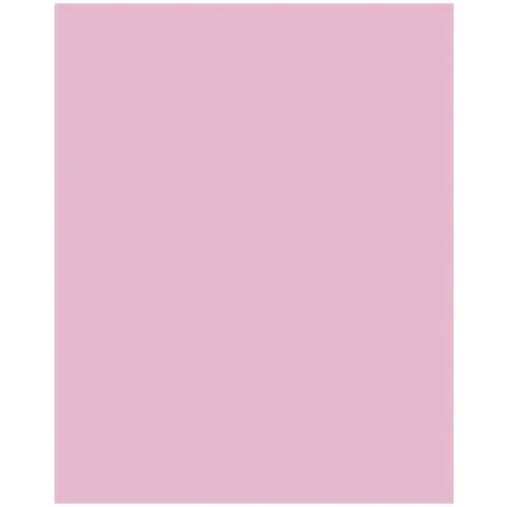FOLIA Dekorkarton, 2 oldalas, 50x70 cm, 300 g, 10 lap, FOLIA, halvány rózsaszín
