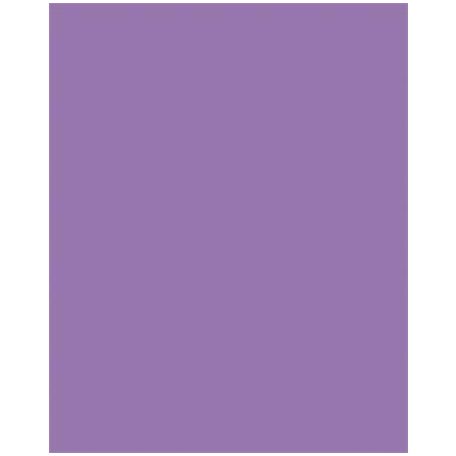 FOLIA Dekorkarton, 2 oldalas, 50x70 cm, 300 g, 10 lap, FOLIA, sötét orgonalila