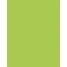 FOLIA Dekorkarton, 2 oldalas, A4, 300 g, 50 lap, FOLIA, tavaszzöld