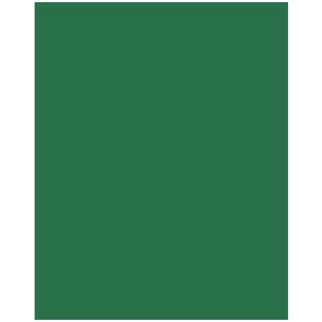 FOLIA Dekorkarton, 2 oldalas, A4, 300 g, 50 lap, FOLIA, fenyőzöld