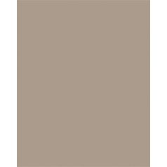   FOLIA Dekorkarton, 2 oldalas, A4, 300 g, 50 lap, FOLIA, cappuccino