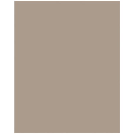 FOLIA Dekorkarton, 2 oldalas, A4, 300 g, 50 lap, FOLIA, cappuccino