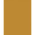 FOLIA Dekorkarton, 2 oldalas, A4, 300 g, 50 lap, FOLIA, terrakotta