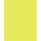 FOLIA Dekorkarton, 2 oldalas, 50x70 cm, 300 g, 10 lap, FOLIA, lime