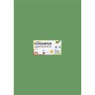 FOLIA Dekorkarton, 2 oldalas, 50x70 cm, 300 g, 10 lap, FOLIA, mohazöld