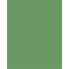 FOLIA Dekorkarton, 2 oldalas, 50x70 cm, 300 g, 10 lap, FOLIA, mohazöld