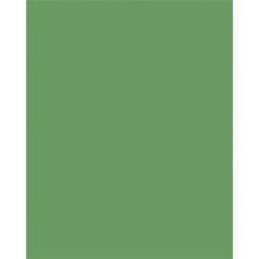   FOLIA Dekorkarton, 2 oldalas, 50x70 cm, 300 g, 10 lap, FOLIA, mohazöld