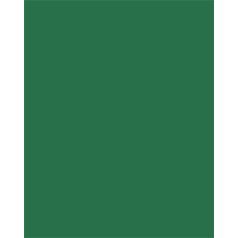   FOLIA Dekorkarton, 2 oldalas, 50x70 cm, 300 g, 10 lap, FOLIA, fenyőzöld