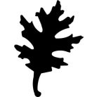 Mintalyukasztó, 25 mm, levél