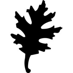 Mintalyukasztó, 25 mm, levél