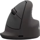 FELLOWES Egér, vezeték nélküli, optikai, vertikális, közepes méret, FELLOWES "Breyta™", fekete
