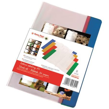 PANTA PLAST Füzet- és könyvborító + füzetcímke, A4. PVC,  PANTA PLAST