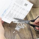 RAPESCO Olló, konyhai, 20 cm, fűszer és papíraprító, 5 penge, RAPESCO