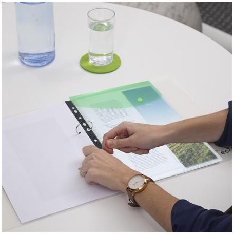 RAPESCO Irattartó tasak, A4+, lefűzhető, patentos, RAPESCO "Eco", áttetsző vegyes színek