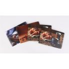 Diák- és igazolványtartó, fekvő, 6 betét lappal, mintás PVC, "Többlapos", általános