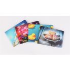 Diák- és igazolványtartó, fekvő, 6 betét lappal, mintás PVC, "Többlapos", lány