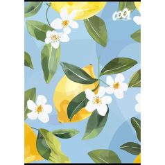   COOL BY VICTORIA Füzet, tűzött, A4, kockás, 80 lap, COOL BY VICTORIA "Mediterrain patterns"