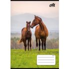 COOL BY VICTORIA Füzet, tűzött, A5, vonalas, 32 lap, 1. osztály, COOL BY VICTORIA "Free Spirit", "14-32"