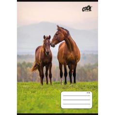   COOL BY VICTORIA Füzet, tűzött, A5, vonalas, 32 lap, 1. osztály, COOL BY VICTORIA "Free Spirit", "14-32"