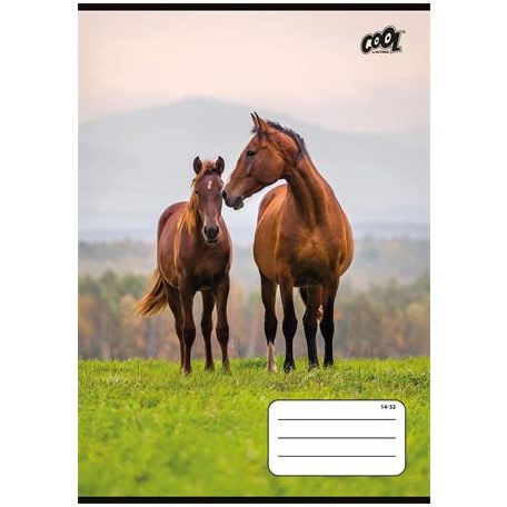 COOL BY VICTORIA Füzet, tűzött, A5, vonalas, 32 lap, 1. osztály, COOL BY VICTORIA "Free Spirit", "14-32"