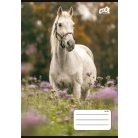 COOL BY VICTORIA Füzet, tűzött, A5, vonalas, 32 lap, 1. osztály, COOL BY VICTORIA "Free Spirit", "14-32"