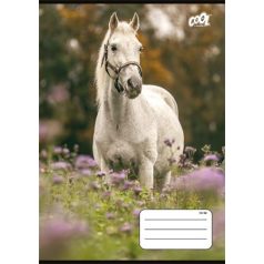   COOL BY VICTORIA Füzet, tűzött, A5, vonalas, 32 lap, 1. osztály, COOL BY VICTORIA "Free Spirit", "14-32"