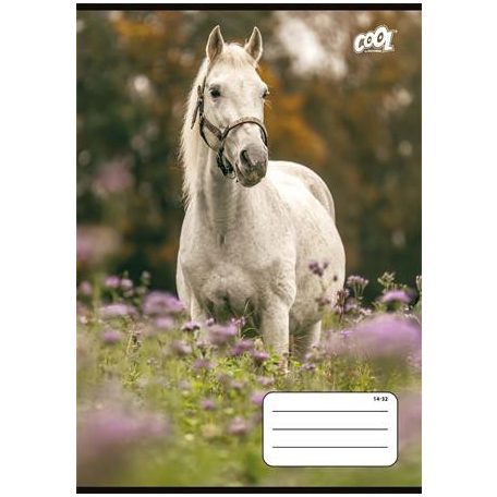 COOL BY VICTORIA Füzet, tűzött, A5, vonalas, 32 lap, 1. osztály, COOL BY VICTORIA "Free Spirit", "14-32"