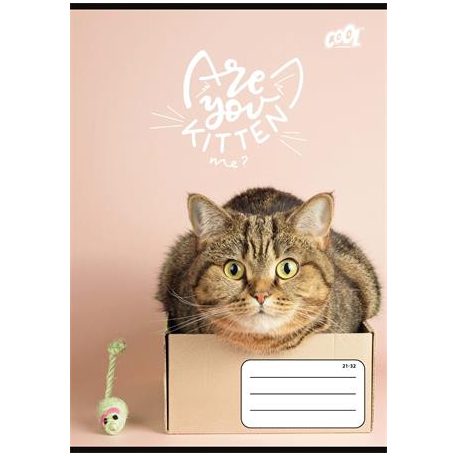 COOL BY VICTORIA Füzet, tűzött, A5, vonalas, 32 lap, 4-8. osztály, COOL BY VICTORIA "Cats Forever", "21-32"