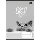 COOL BY VICTORIA Füzet, tűzött, A5, vonalas, 32 lap, 4-8. osztály, COOL BY VICTORIA "Cats Forever", "21-32"