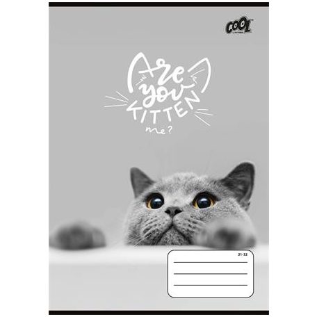 COOL BY VICTORIA Füzet, tűzött, A5, vonalas, 32 lap, 4-8. osztály, COOL BY VICTORIA "Cats Forever", "21-32"