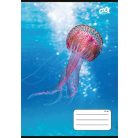 COOL BY VICTORIA Füzet, tűzött, A5, kockás, 32 lap, COOL BY VICTORIA "Ocean World", "27-32"