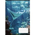 COOL BY VICTORIA Füzet, tűzött, A5, kockás, 32 lap, COOL BY VICTORIA "Ocean World", "27-32"