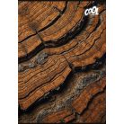 COOL BY VICTORIA Füzet, tűzött, A4, kockás, 80 lap, COOL BY VICTORIA "Wood & Rock"