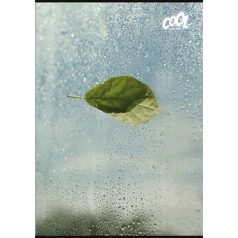   COOL BY VICTORIA Füzet, tűzött, A4, sima, 80 lap, COOL BY VICTORIA "Green Calm"