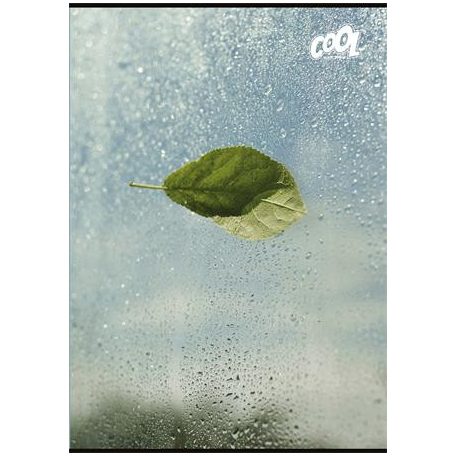 COOL BY VICTORIA Füzet, tűzött, A4, sima, 80 lap, COOL BY VICTORIA "Green Calm"