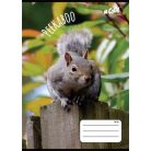 COOL BY VICTORIA Füzet, tűzött, A5, vonalas, 32 lap, 2. osztály, COOL BY VICTORIA, "Peekaboo", "16-32"