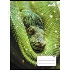 COOL BY VICTORIA Füzet, tűzött, A5, vonalas, 32 lap, 1. osztály, COOL BY VICTORIA, "Animals", 14-32